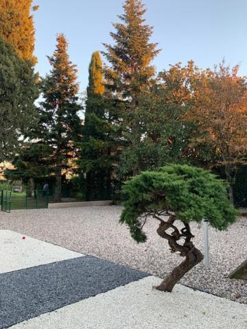 Magnolia Country House Pescantina Exterior foto
